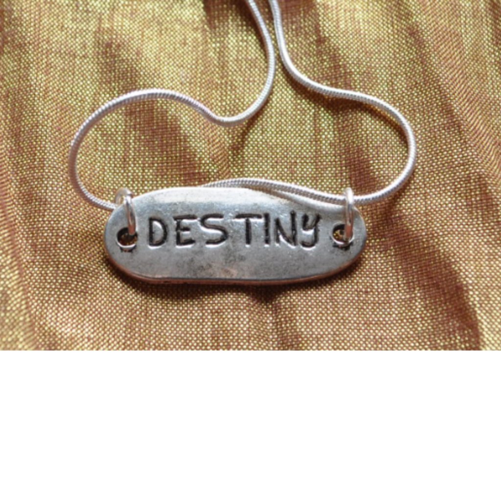 Destiny Pendant With 925 Silver Necklace 2026 24$